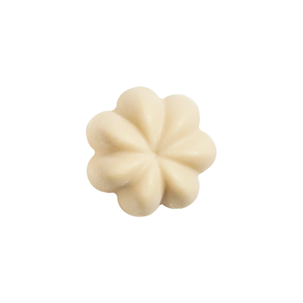 SHAMPOING SOLIDE APRÈS-SOLEIL