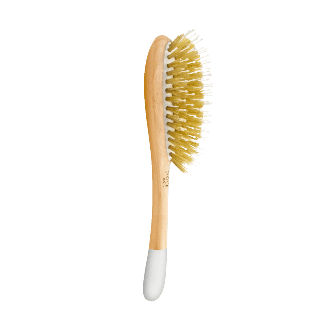 Brosse Bachca